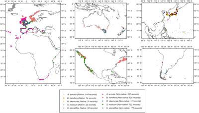 Predicting non-native seaweeds global distributions: The importance of tuning individual algorithms in ensembles to obtain biologically meaningful results